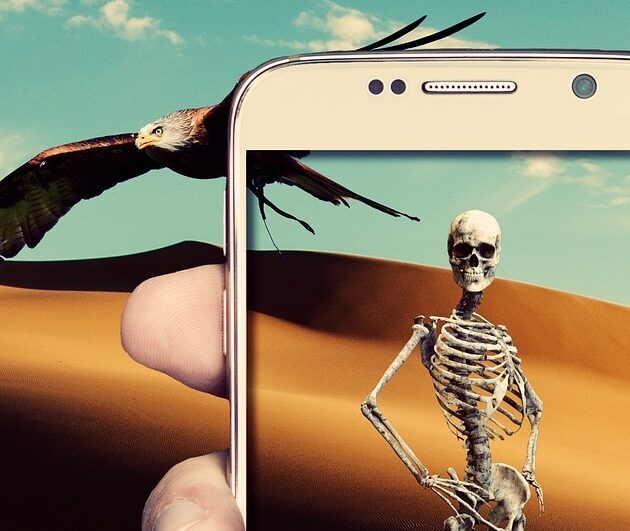 Photo Editing service from elglalilstudio @ elgalilnet